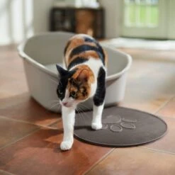 Frisco Shaped Cat Litter Mat 6 Frisco Shaped Cat Litter Mat -Pet Cat Supplies Store 166306 PT3. AC SS1800 V1675279990