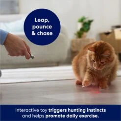 Frisco 2-in-1 Laser & LED Light Laser Cat Toy 7 Frisco 2-in-1 Laser & LED Light Laser Cat Toy -Pet Cat Supplies Store 166309 PT3. AC SS1800 V1686579688