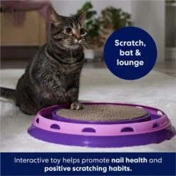Frisco Scratch & Roll Scratcher Cat Toy With Catnip 6 Frisco Scratch & Roll Scratcher Cat Toy With Catnip -Pet Cat Supplies Store 166516 PT4. AC SS1800 V1686580077