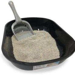 Fresh Kitty Deluxe Cat Litter Scoop, Color Varies 10 Fresh Kitty Deluxe Cat Litter Scoop, Color Varies -Pet Cat Supplies Store 166730 PT4. AC SS1800 V1556225242