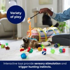 Frisco Plush, Teaser, Ball & Tunnel Variety Pack Cat Toy With Catnip -Pet Cat Supplies Store 169688 PT5. AC SS1800 V1691784246
