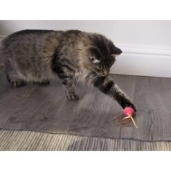 SmartyKat Crazy Cruiser Rumble Bug Electronic Cat Toy -Pet Cat Supplies Store 173634 PT2. AC SS1800 V1599754701