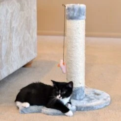 Armarkat 19-in Sisal Cat Scratching Post With Toy -Pet Cat Supplies Store 179081 PT2. AC SS1800 V1678228287