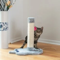 Armarkat 19-in Sisal Cat Scratching Post With Toy -Pet Cat Supplies Store 179081 PT5. AC SS1800 V1678285921
