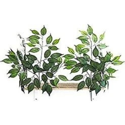 On2Pets Cat Canopy Wall Shelves -Pet Cat Supplies Store 179084 PT8. AC SS1800 V1584730264