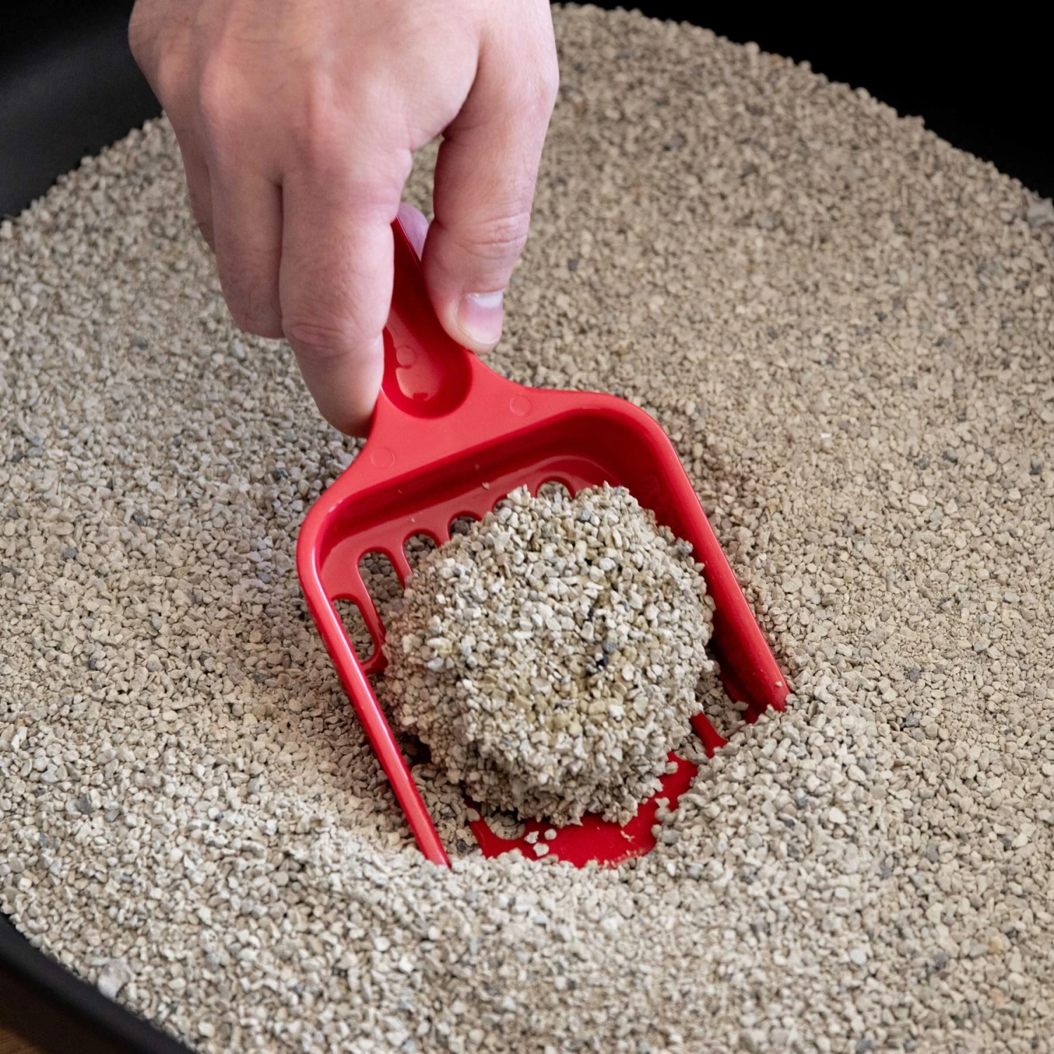 IRIS USA Large High-Back Open Top Cat Litter Pan With Scatter Shield & Scoop 8 IRIS USA Large High-Back Open Top Cat Litter Pan With Scatter Shield & Scoop - Image 8