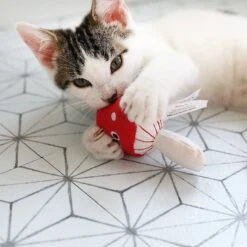 Mad Cat Magic Meowshroom Catnip & Silvervine Cat Toy -Pet Cat Supplies Store 181804 PT4. AC SS1800 V1634833946