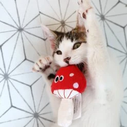 Mad Cat Magic Meowshroom Catnip & Silvervine Cat Toy -Pet Cat Supplies Store 181804 PT5. AC SS1800 V1634833879