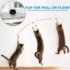 SereneLife Automatic Laser Cat Toy -Pet Cat Supplies Store 181969 pt4. AC SS1800 V1564670019
