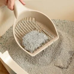 IRIS USA Jumbo Cat Litter Scoop With Comfort Handle Sturdy Smooth Plastic Finish 8 IRIS USA Jumbo Cat Litter Scoop With Comfort Handle Sturdy Smooth Plastic Finish -Pet Cat Supplies Store 182190 PT2. AC SS1800 V1569880051