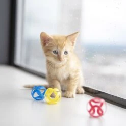 JW Pet Cat Crazies Cat Toy 5 JW Pet Cat Crazies Cat Toy -Pet Cat Supplies Store 182739 PT2. AC SS1800 V1602327670