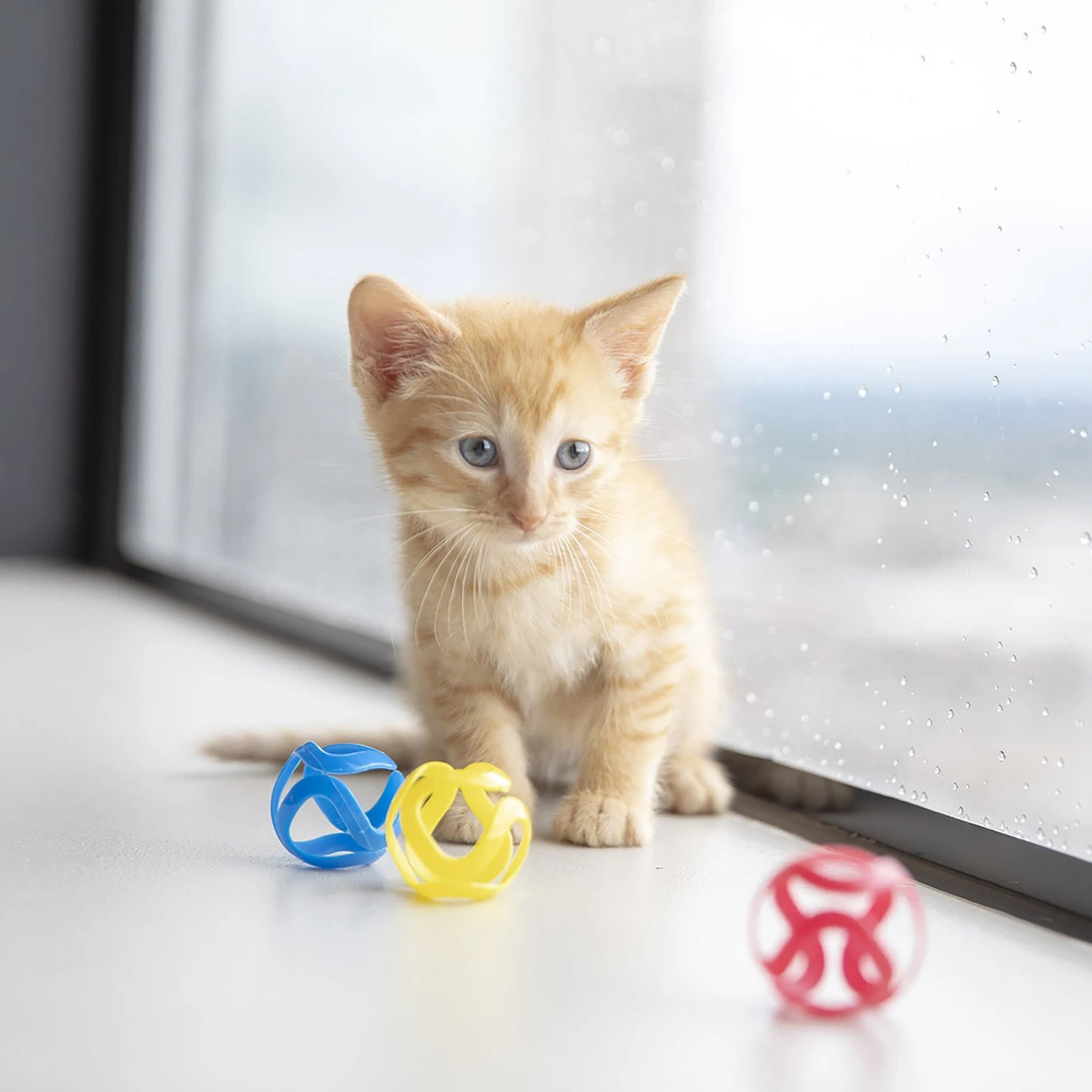 JW Pet Cat Crazies Cat Toy 3 JW Pet Cat Crazies Cat Toy - Image 3