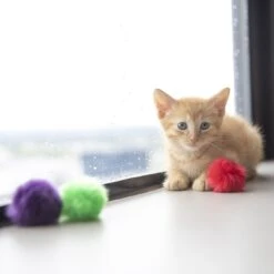 JW Pet Fun Fluffs Cat Toys, 3 Count 5 JW Pet Fun Fluffs Cat Toys, 3 Count -Pet Cat Supplies Store 182747 PT2. AC SS1800 V1602307869