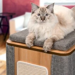 Vesper Cubo Tower 34.25-in Modern Cat Condo -Pet Cat Supplies Store 182899 PT3. AC SS1800 V1628004780