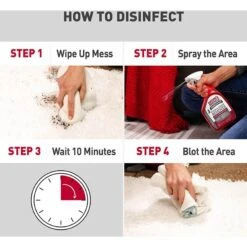 Nature's Miracle Advanced Platinum Cat Antibacterial Stain Remover & Odor Eliminator Spray, 32-oz Bottle 13 Nature's Miracle Advanced Platinum Cat Antibacterial Stain Remover & Odor Eliminator Spray, 32-oz Bottle -Pet Cat Supplies Store 182979 PT4. AC SS1800 V1701116417