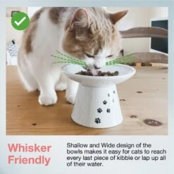 Necoichi Extra Wide Ceramic Elevated Cat Food Bowl, 2-cup 11 Necoichi Extra Wide Ceramic Elevated Cat Food Bowl, 2-cup -Pet Cat Supplies Store 183502 PT2. AC SS1800 V1698867551