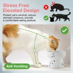 Necoichi Ceramic Elevated Cat Water Bowl -Pet Cat Supplies Store 183505 PT3. AC SS1800 V1627495876