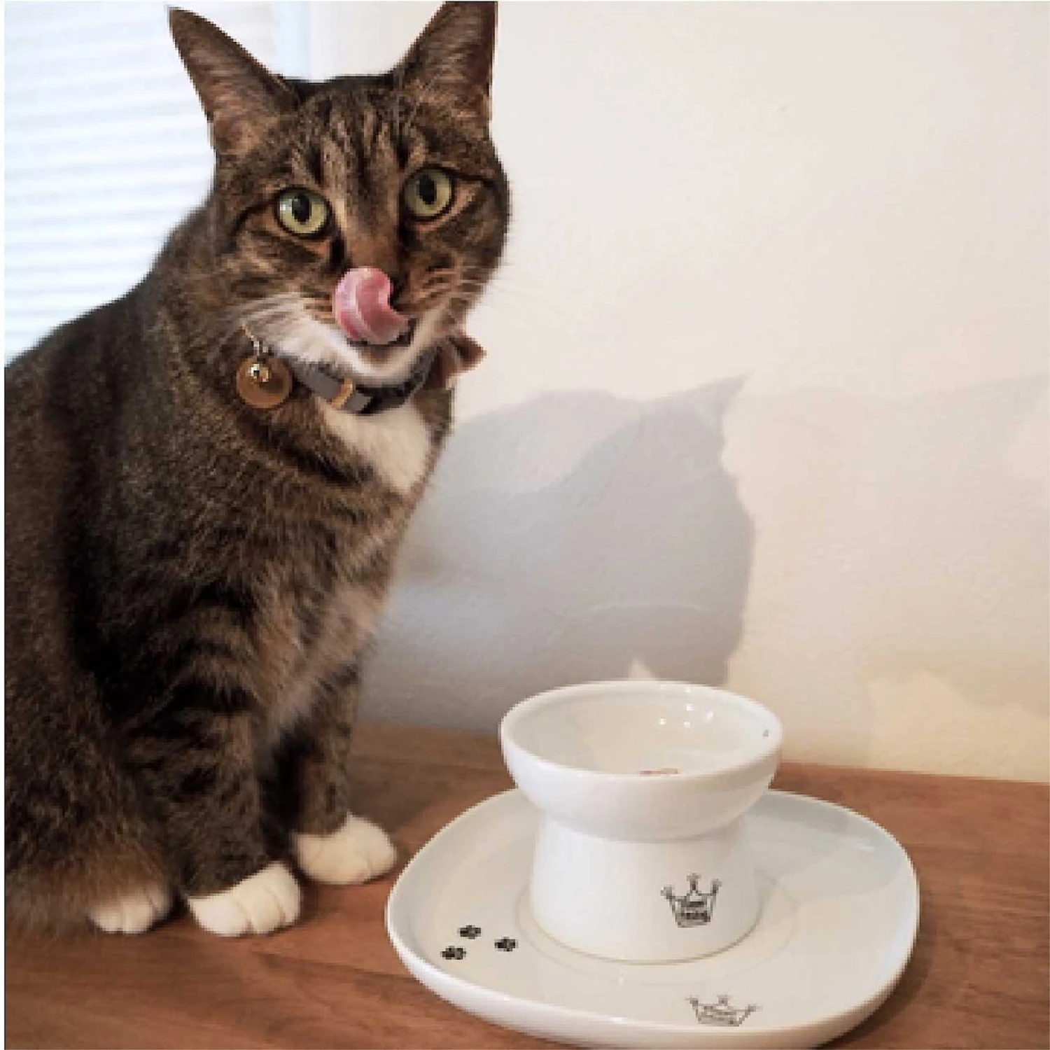 Necoichi Single Dining Tray 4 Necoichi Single Dining Tray - Image 4