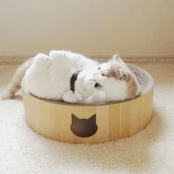 Necoichi Cozy Cat Scratcher Bowl Toy -Pet Cat Supplies Store 183517 PT8. AC SS1800 V1702938859