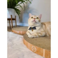Necoichi Cozy Cat Scratcher Bowl Replacement Pad -Pet Cat Supplies Store 183519 PT5. AC SS1800 V1647460001