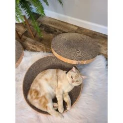 Necoichi Cozy Cat Scratcher Bowl Replacement Pad -Pet Cat Supplies Store 183519 PT7. AC SS1800 V1647460899