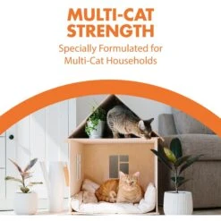 Arm & Hammer Litter Naturals Scented Clumping Corn Cat Litter 15 Arm & Hammer Litter Naturals Scented Clumping Corn Cat Litter -Pet Cat Supplies Store 184404 PT6. AC SS1800 V1663798197