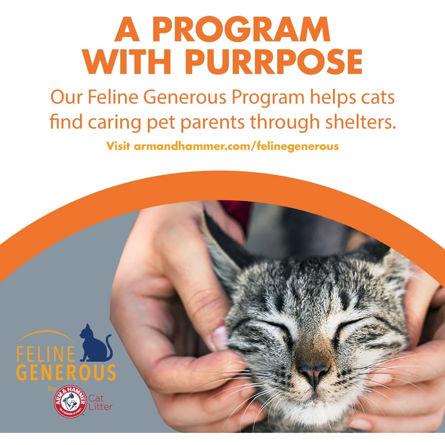 Arm & Hammer Litter Naturals Scented Clumping Corn Cat Litter 8 Arm & Hammer Litter Naturals Scented Clumping Corn Cat Litter - Image 8