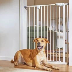 Frisco Steel Extra Tall Auto-Close Dog Gate