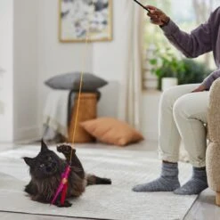 Ethical Pet Feather Dangler Wand Cat Toy With Catnip -Pet Cat Supplies Store 188899 PT3. AC SS1800 V1682711091