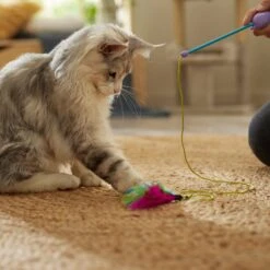 Ethical Pet Dolphin Laser Wand Cat Toy, Color Varies -Pet Cat Supplies Store 189214 PT3. AC SS1800 V1686945794