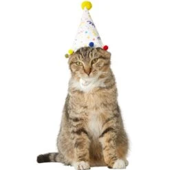 Frisco Confetti Dog & Cat Birthday Hat -Pet Cat Supplies Store 191274 PT2. AC SS1800 V1582053206