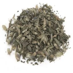 Best Pet Supplies Catify Lounger Cardboard Catnip Scratcher Cat Toy -Pet Cat Supplies Store 193098 PT4. AC SS1800 V1568064753