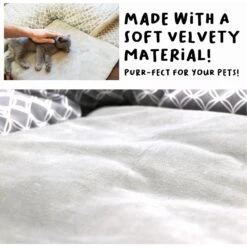 Petique Hide & Seek Cat Mat & Tunnel Toy 10 Petique Hide & Seek Cat Mat & Tunnel Toy -Pet Cat Supplies Store 194002 PT4. AC SS1800 V1673561548