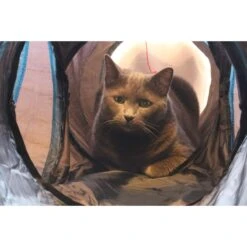 Feline Ruff 12" Premium 4-Way Collapsible Tunnel Cat Toy, Black & Blue -Pet Cat Supplies Store 203968 PT2. AC SS1800 V1594670775