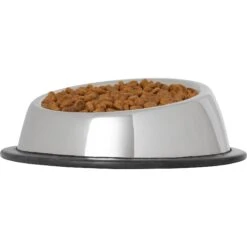 Frisco Stainless Steel Taper Non-Skid Cat Bowl 9 Frisco Stainless Steel Taper Non-Skid Cat Bowl -Pet Cat Supplies Store 204467 PT2. AC SS1800 V1598449858