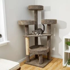 Pet Cat Supplies Store 16 Frisco 65-in Real Carpet Scratch And Lounge Cat Tree