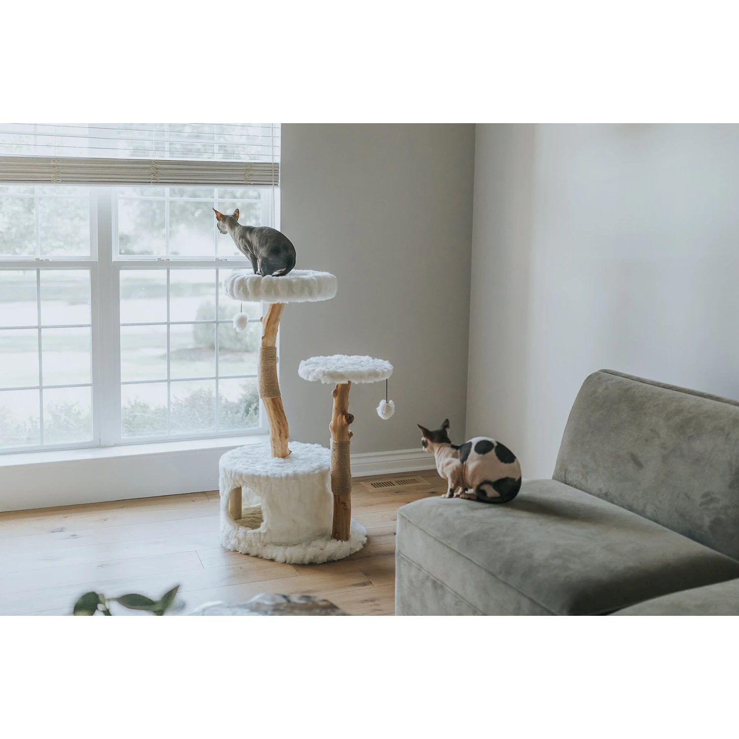 Mau Lifestyle Alba 43-in Modern Wooden Cat Tree & Condo 2 Mau Lifestyle Alba 43-in Modern Wooden Cat Tree & Condo - Image 2