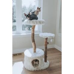 Mau Lifestyle Alba 43-in Modern Wooden Cat Tree & Condo 12 Mau Lifestyle Alba 43-in Modern Wooden Cat Tree & Condo -Pet Cat Supplies Store 211717 PT5. AC SS1800 V1632954718
