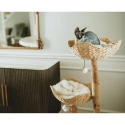 Mau Lifestyle Cento 46-in Modern Wooden Cat Tree & Condo -Pet Cat Supplies Store 211729 PT2. AC SS1800 V1626740182