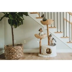 Mau Lifestyle Cento 46-in Modern Wooden Cat Tree & Condo -Pet Cat Supplies Store 211729 PT3. AC SS1800 V1626749817