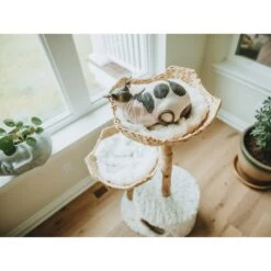 Mau Lifestyle Cento 46-in Modern Wooden Cat Tree & Condo -Pet Cat Supplies Store 211729 PT4. AC SS1800 V1626748003
