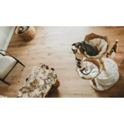 Mau Lifestyle Cento 46-in Modern Wooden Cat Tree & Condo -Pet Cat Supplies Store 211729 PT6. AC SS1800 V1626744726