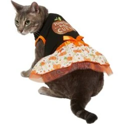 Frisco Pumpkin Patch Cutie Dog & Cat Dress 8 Frisco Pumpkin Patch Cutie Dog & Cat Dress -Pet Cat Supplies Store 215784 PT2. AC SS1800 V1632429076
