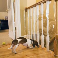 Cardinal Gates Indoor Banister Dog & Cat Shield Protector, Clear -Pet Cat Supplies Store 217345 PT2. AC SS1800 V1628003803