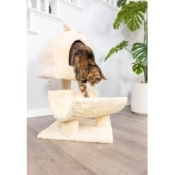 Armarkat 31-in Cat Scratching Post & Condo Cat Tree, Goldenrod 12 Armarkat 31-in Cat Scratching Post & Condo Cat Tree, Goldenrod -Pet Cat Supplies Store 219012 PT3. AC SS1800 V1603333015