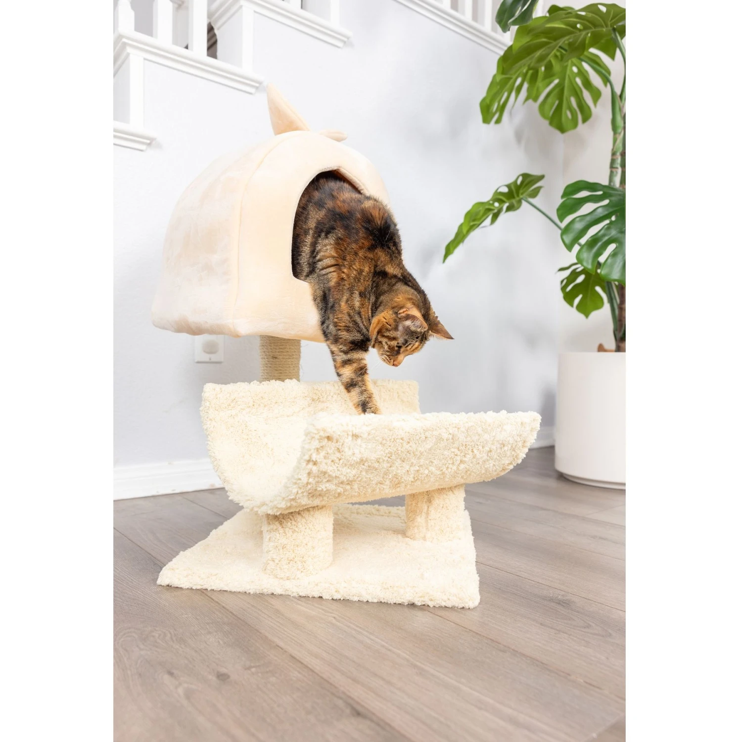 Armarkat 31-in Cat Scratching Post & Condo Cat Tree, Goldenrod 4 Armarkat 31-in Cat Scratching Post & Condo Cat Tree, Goldenrod - Image 4
