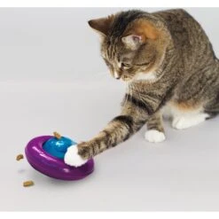 KONG Infused Cat Gyro Cat Toy -Pet Cat Supplies Store 219716 PT2. AC SS1800 V1631773111