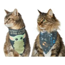 STAR WARS THE MANDALORIAN GROGU "Cutest Bounty" Reversible Dog & Cat Bandana -Pet Cat Supplies Store 220290 PT2. AC SS1800 V1646443013