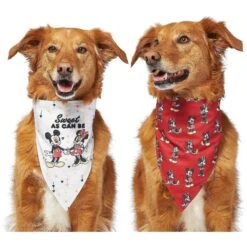 Disney Mickey Mouse & Minnie Mouse "Sweet As Can Be" Reversible Dog & Cat Bandana -Pet Cat Supplies Store 220293 PT4. AC SS1800 V1637667456