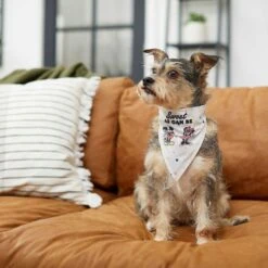 Disney Mickey Mouse & Minnie Mouse "Sweet As Can Be" Reversible Dog & Cat Bandana -Pet Cat Supplies Store 220293 PT5. AC SS1800 V1637707356